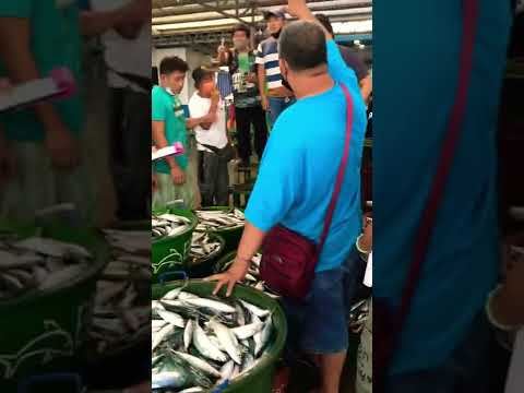 bounty fresh fish