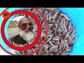 Shrimp Farming in Pakistan | Benefits of Shrimp Farming | FDB Workshop of Shrimp Farming in Multan.