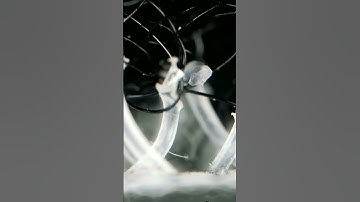 #oddlysatisfying #satisfying #experiment #macro #closeup #2025 #urday #animation #relaxing