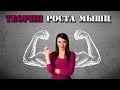 ТЕОРИИ РОСТА МЫШЦ