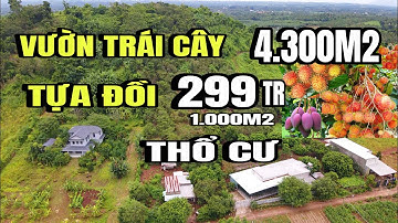 Chú việt nợ nần, bán gấp vườn trái cây tựa đồi, thổ cư, tại Huyện cẩm Mỹ cũ, Đồng Nai