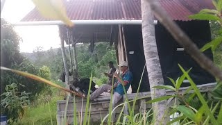 Camping di Pondok Yang Sunyi, Suara Binatang Malam yang Mencekam / Memasak Telur Uenak Sekali