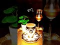 عبدالحليم حافظ ياخلي القلب ياحبيبي
