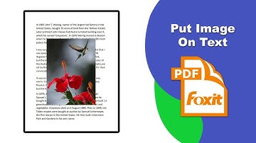 How to Bring an Image Above Text in a PDF Document (Edit Image) in Foxit PDF Editor