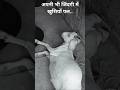 Apni bhi jindagi me khushiyo #bollywood #hindisong #music #trending