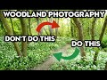 The DOs and DON&#39;Ts of WOODLAND PHOTOGRAPHY