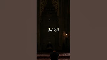 القارئ الشيخ عبدالله الموسى | وقد نزل عليكم في الكتاب أن إذا سمعتم آيات