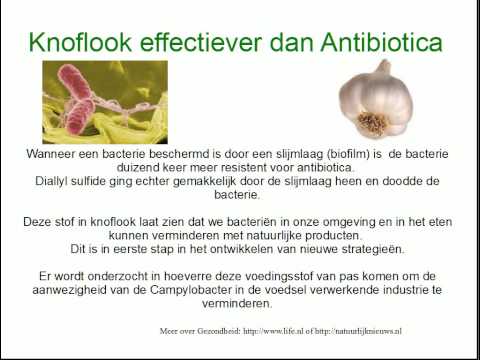 Knoflook Effectiever dan Antibiotica.wmv