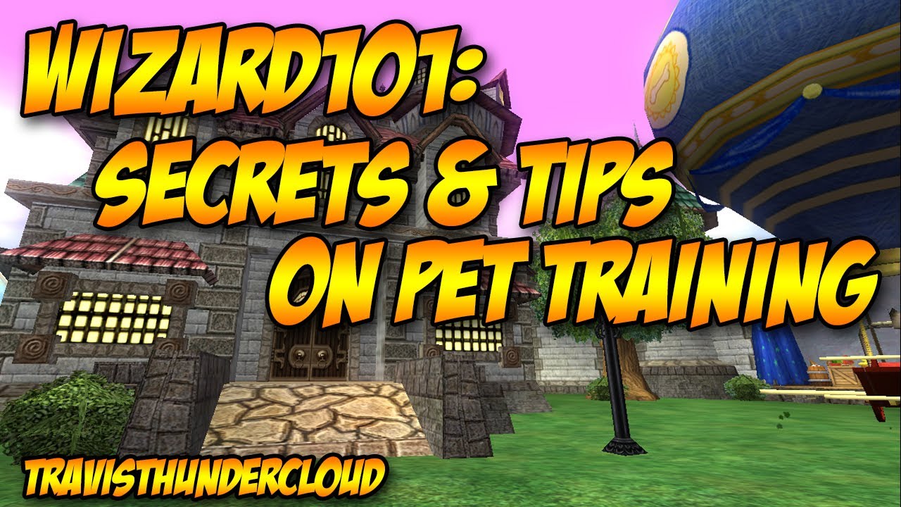 Wizard101 Secrets and Tips on Pet Training YouTube