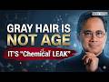 DR. WILLIAM LI REVEALS THE SHOCKING NEW STUDY ON GRAY HAIR STEM CELLS THAT COULD CHANGE EVERYTHING
