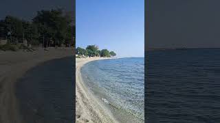 Kokkino Nero 2023 ❤️❤️❤️