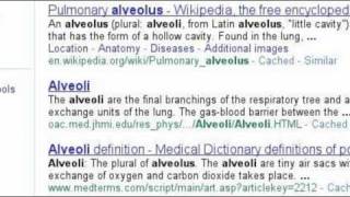 Respiratory System