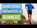 Treating proximal hamstring tendinopathy in runners