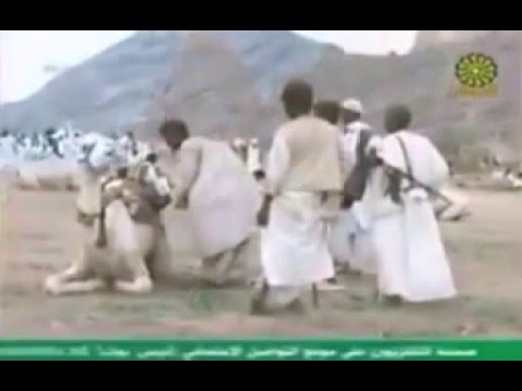 اصل وتاريخ قبائل البني عامر 