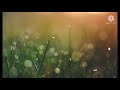شاب فيناني هادي مانويتها