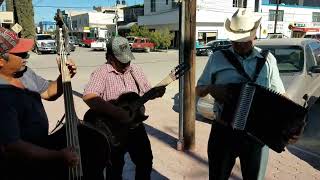 Los chirrines en la plaza de Nuevo Ideal Durango 👌🔥🙏✌️#pueblitolamagdalena