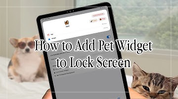 #13 How to Add Pet Widget to Lock Screen