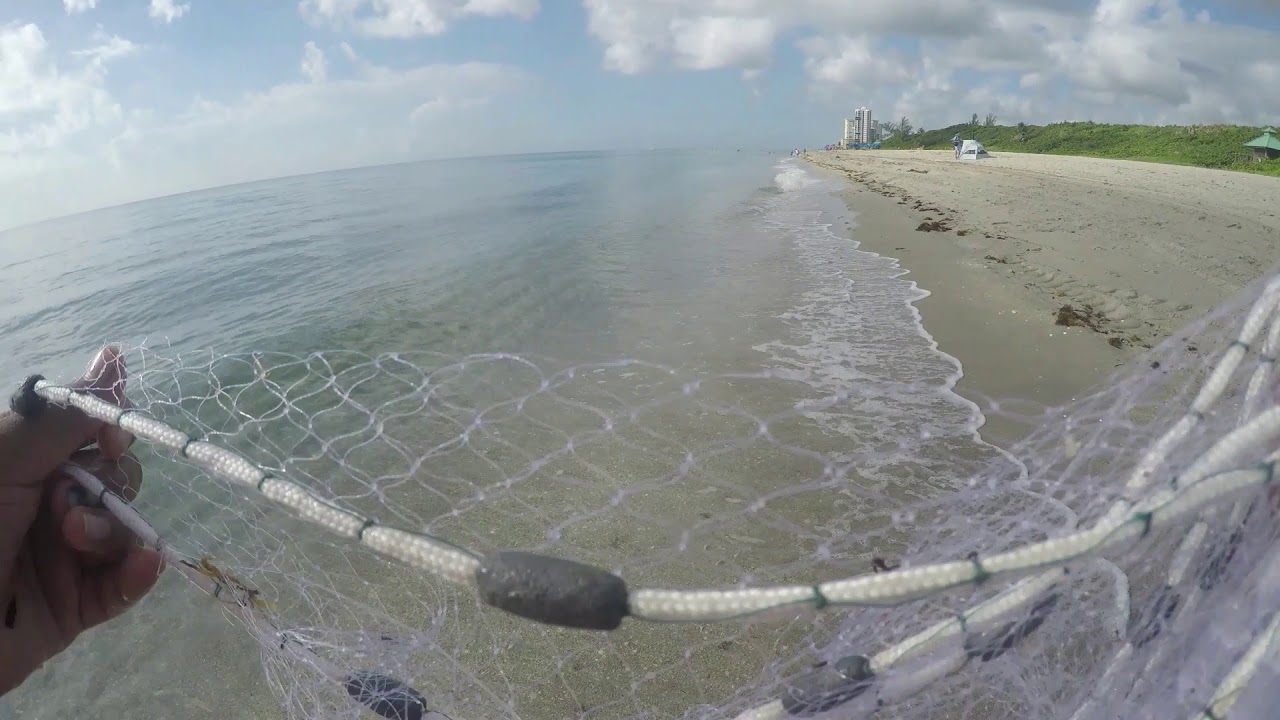 Cast netting bait on the surf 