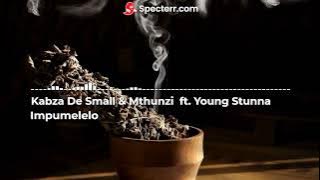 Kabza De Small & Mthunzi  ft. Young Stunna - 'Impumelelo' Instrumental
