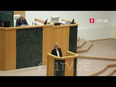 ეკონომიკის მინისტრის მოსმენა პარლამენტში