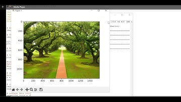 K means clustering-based image segmentation using OpenCV and python #opencv #opencvpython #bangalore