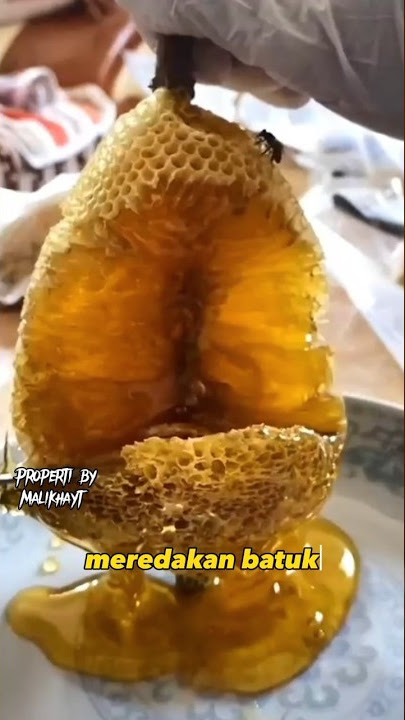 Banyak yang tidak tahu ternyata ini khasiat madu lebah #madu #lebah #obat #lebahmadu