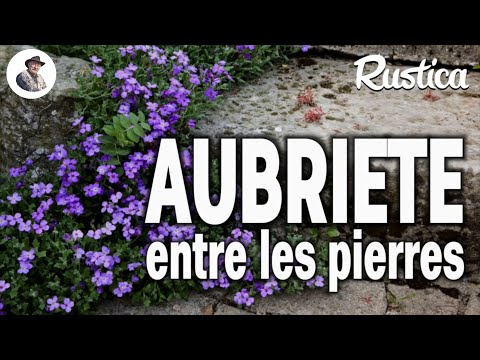 L'aubriète, un tapis