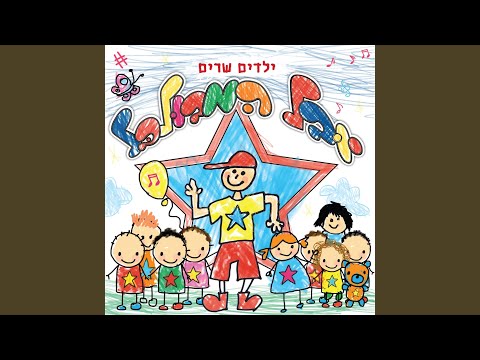 הדרך שלי 