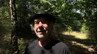 Send In The Clowns For Sjef