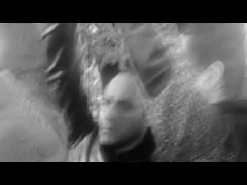 TINA ვემშვიდობები ჩემს მეგობარს მიშიკოს