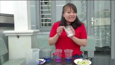 Thí nghiệm sự đổi màu của nước hoa đậu biếc. Trường mầm non Đỗ Quyên! ( 5-6 tuổi)
