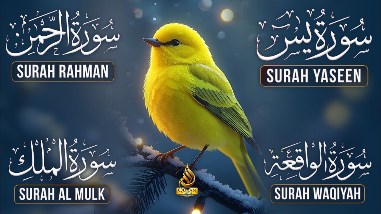 Very Nice Voice Surah Yaseen | Surah Rahman | Surah Waqiah | Surah Mulk l Reciter Ashraf Hussain 005