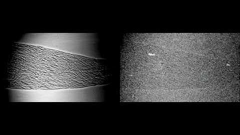 Synchrotron x-ray visualisation of ice formation in insects during lethal and non-lethal freezing