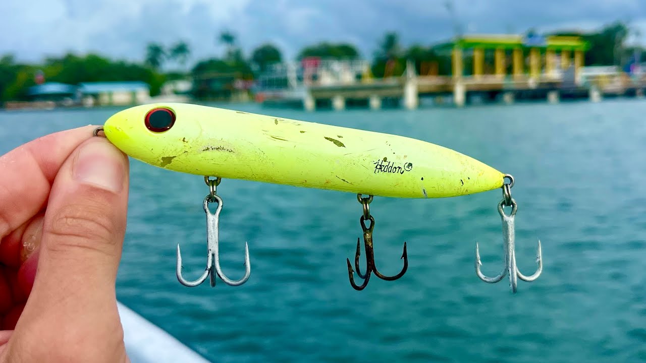 I Hooked The Biggest Fish Of My Life... (Belize Tarpon Fishing)