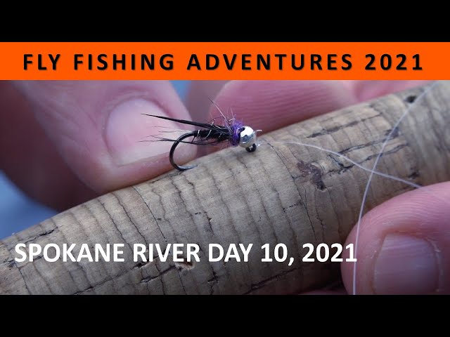 FLY FISHING ADVENTURES 2021: Day 10 to Spokane River in June [Episode #10]  