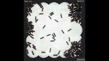 Cluster dynamics in macroscopic photoactive particles - High population, low intensity