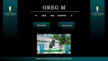 Oreg M (Upgarde - Akitos xx) 2018. HSH gelding
