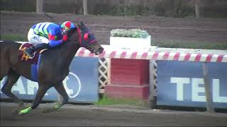 Vidéo de la course PMU PRIX JUSTO Y PRECISO