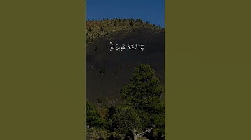 سورة الشعراء { ١٧٦ ــ ١٨٤ } #ياسر_الدوسري انشر تؤجر #قرآن