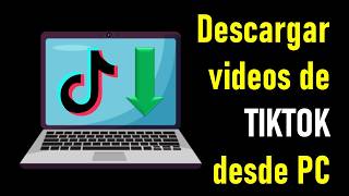 How to DOWNLOAD TikTok VIDEOS on PC