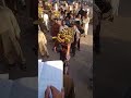 کیلے کی فصل بہت کم ہے جس کی وجہ سے ریٹ نیچے نہیں آ رہا #viral #pakistan #shorts