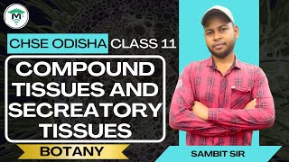 Compound Tissues and Secreatory Tissues | Class 11 Botany | CHSE hub