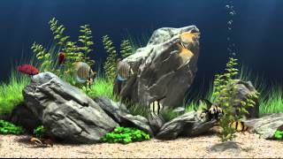 Dream Aquarium Virtual Fishtank #1