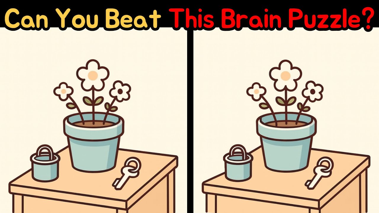 Spot The Difference: Can You Beat This Brain Puzzle? – Spot All 3 Mistakes [Find The Difference!]