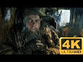 Radagast the brown  the hobbit  an unexpected journey 4kr