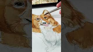 Painting a CORGI dog with watercolour #corgi #paintingshorts