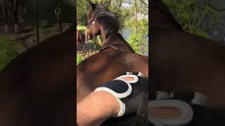 TLSS 20220427 clip IMG 0643