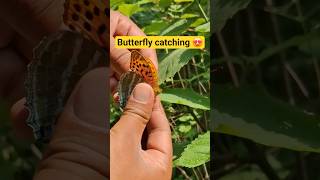 Catching A Butterfly 🦋