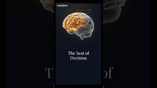 Science Proves Your Decision-Making Center Is the Prefrontal Cortex.