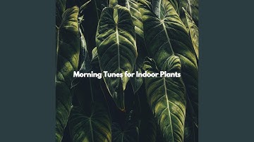 Incredible Limitless Overtones